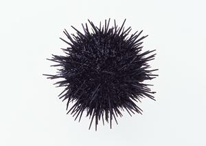 三宮のおすすめバー徹底ガイド2026｜雰囲気・料金・アクセス情報まで完全網羅