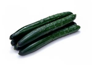 岡山県津山市の愛されるお弁当店「つるや」仕出し弁当と惣菜の魅力をご紹介