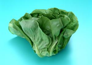 南砂町の宅配ピザ店「ピザポケット」の詳細情報と魅力徹底解説