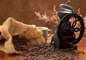 みなとみらいで味わう！シェイクシャックの魅力と店舗情報