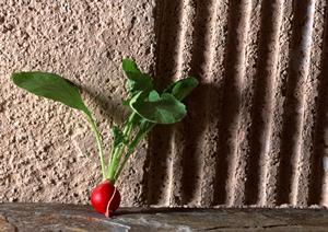 新橋駅近！牡蠣食べ放題と海鮮料理を楽しめる「かき小屋 新橋」：持ち込みOKのBBQスタイルのお店